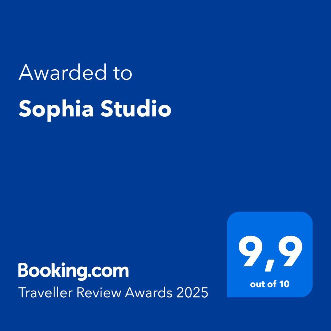 Sophia Studio カジミエシュ・ドルニ エクステリア 写真